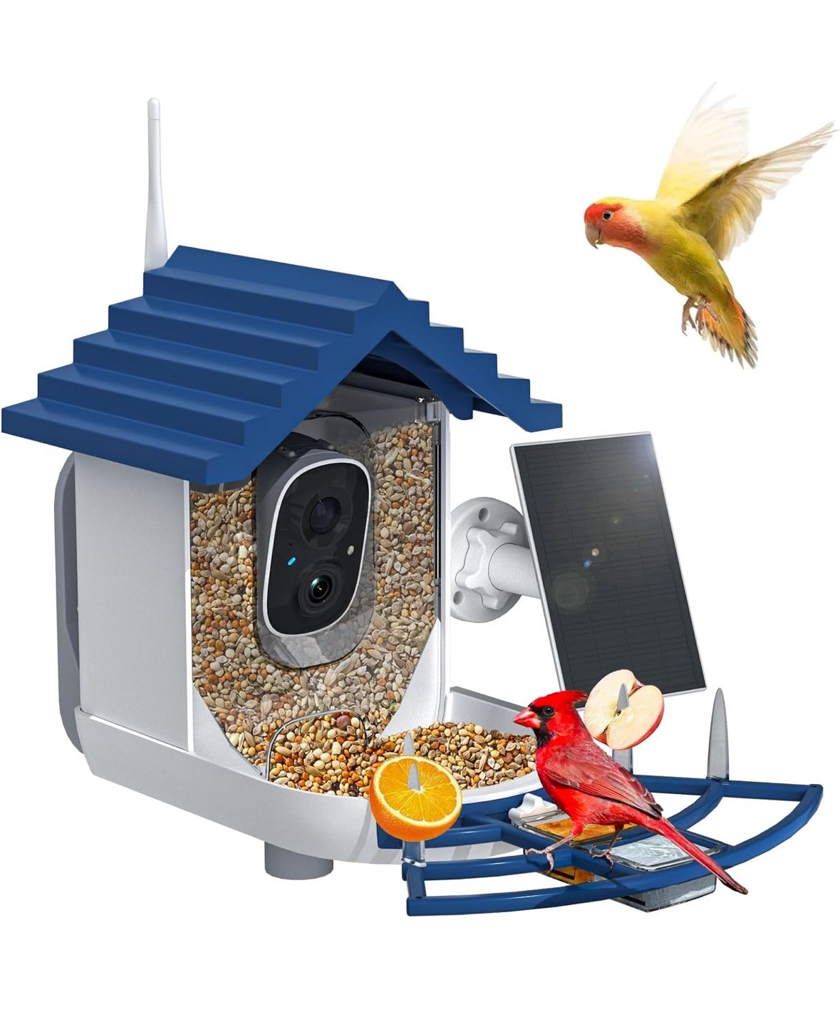 Smart Bird Feeder with Camera Solar Powered