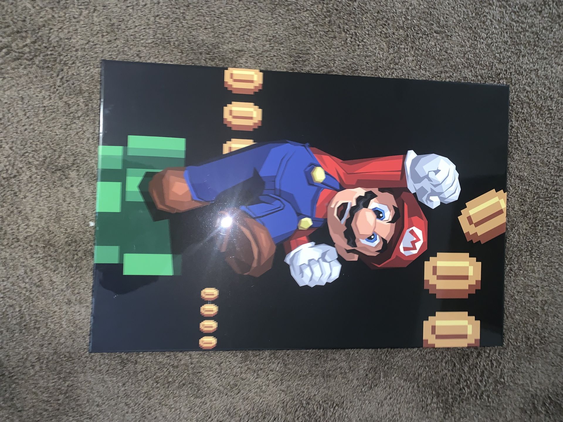 Mario Picture