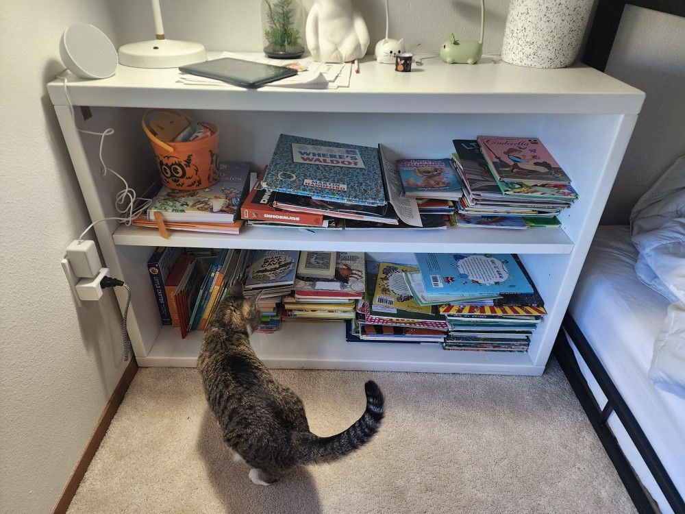 Painted Bookcase + Books