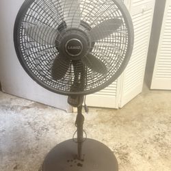 Fan