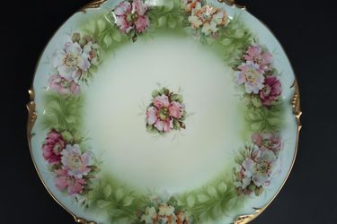 Beautiful Germany Porcelain Plate