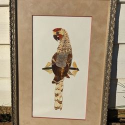 Vtg 70s Parrot Picture Handmade From Butterfly Wings African Art Framed W/Glass & Mat