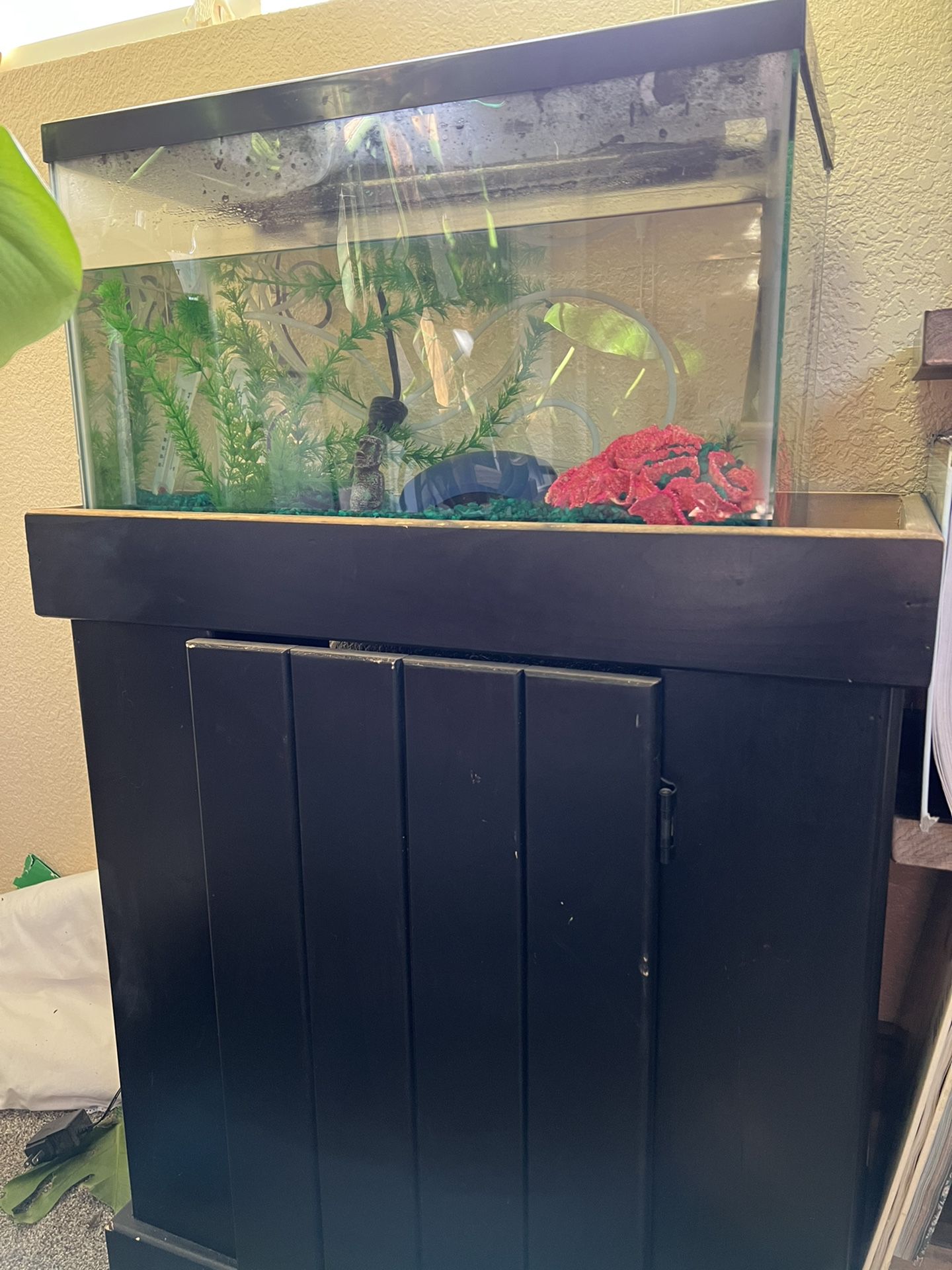 20 Gallon Aquarium Fish Tank Stand Decor Heater Set Up