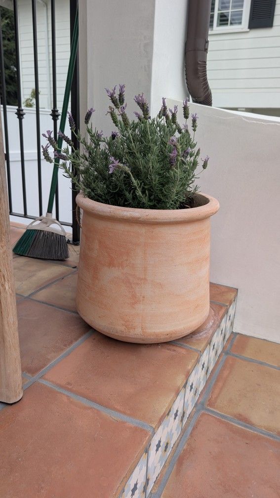Italian Terracotta Outdoor Planter Garden Patio Plant Pot Lavender Included