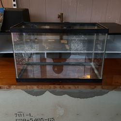 13 Gallon Fish Tank 