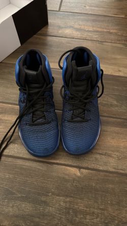 Nike Air Jordan XXXI 'Royal Size 10