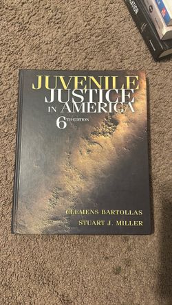 Juvenile Justice in America
