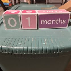 Baby Date Blocks 