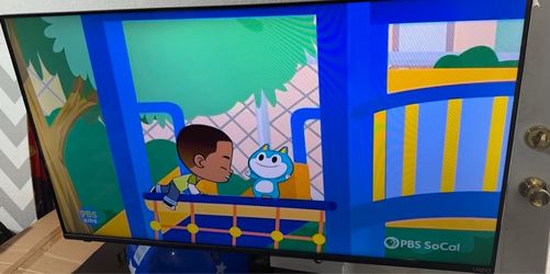 TV Vizio in excellent condition 10/10