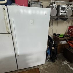 Large Stand Up Deep Freezer 