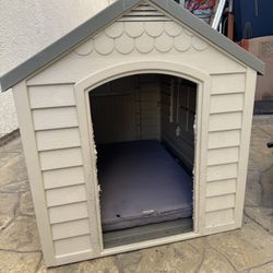 Dog House