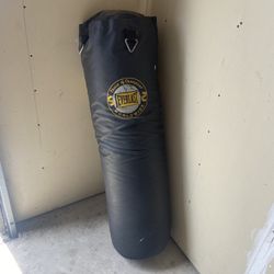 70lb Punching Bag