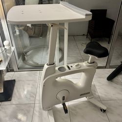 FlexiSpot Exercise Desk Bike 