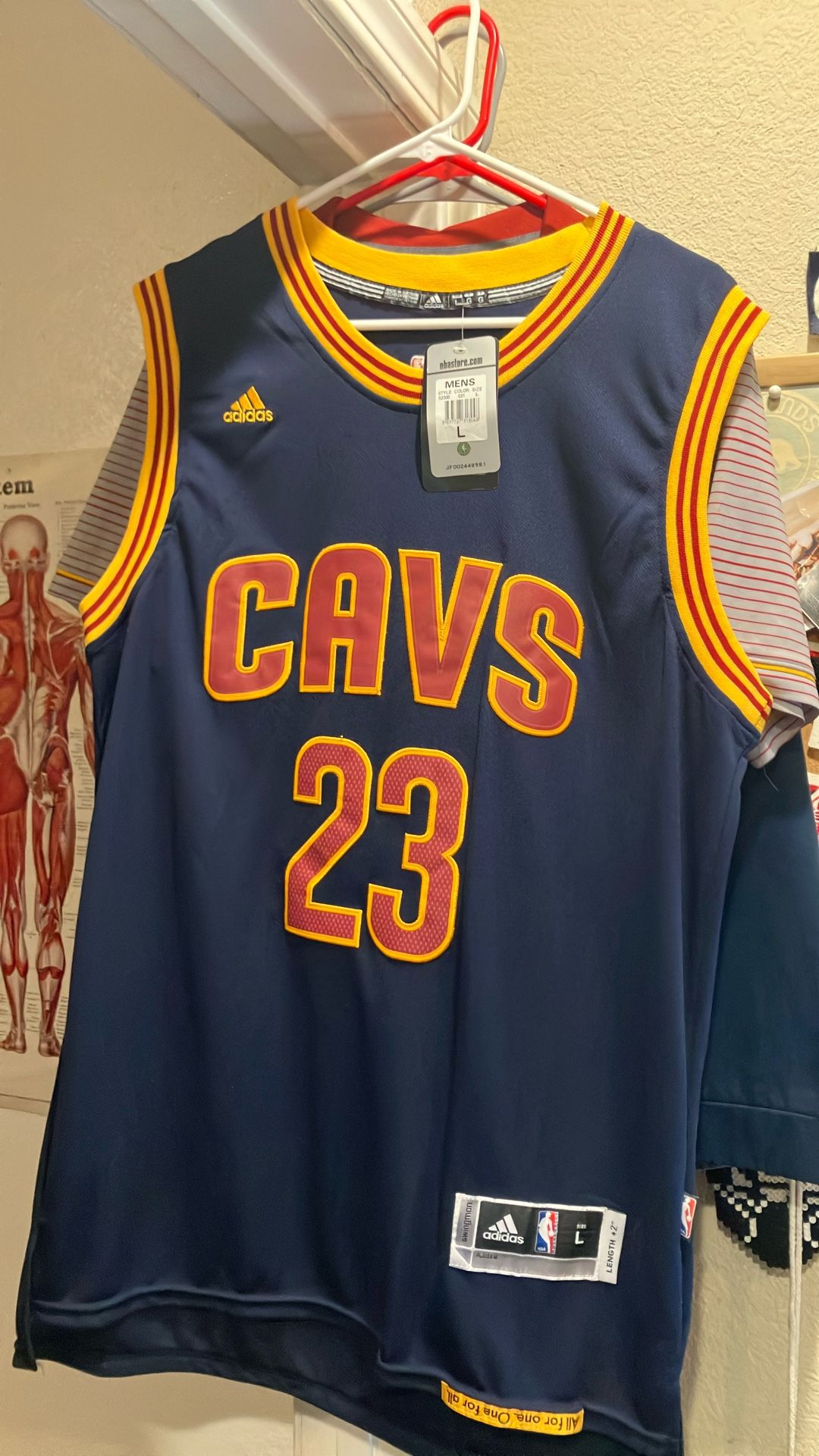 LeBron James Blue Cavs Jersey Large
