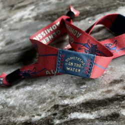 SITW 2022 Tickets (Something In The Water)