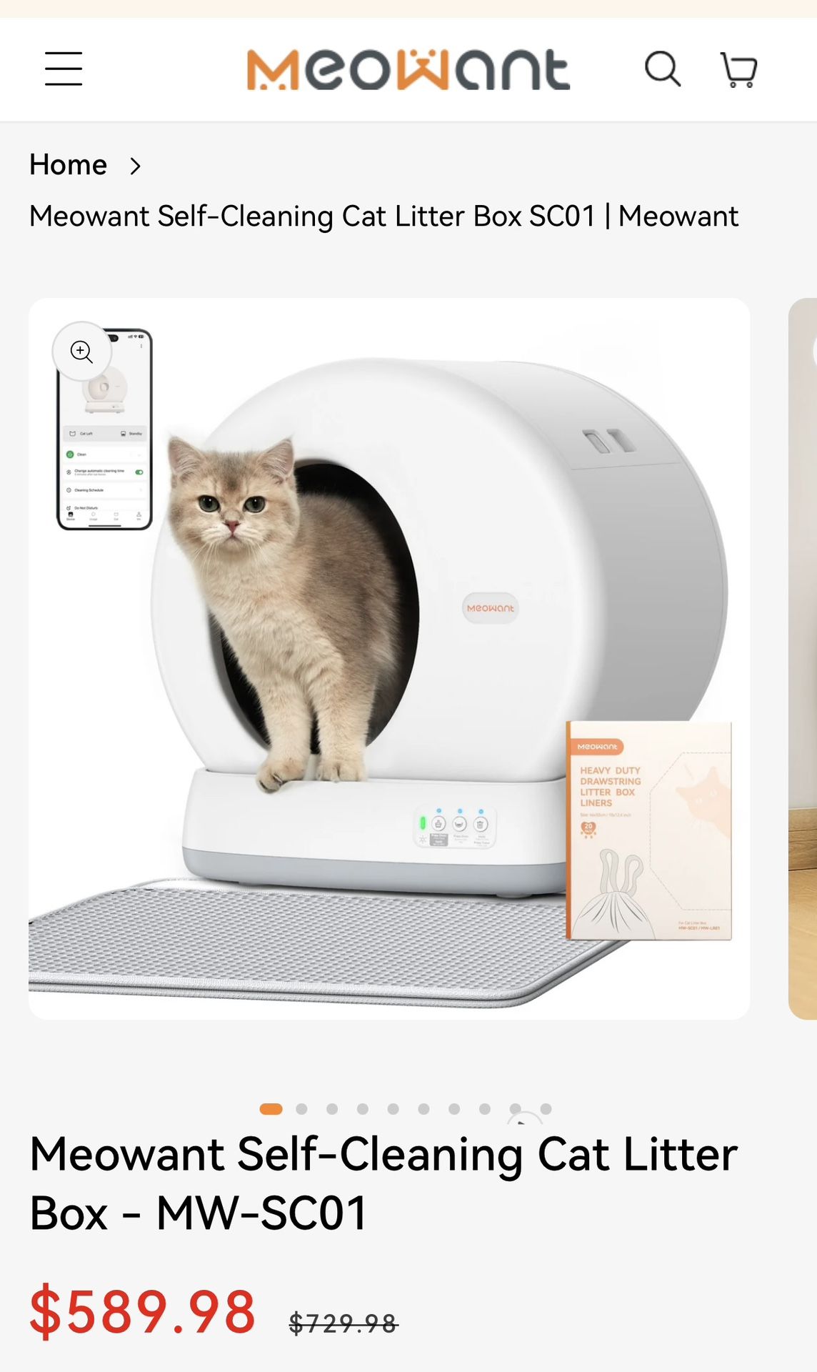 Meowant