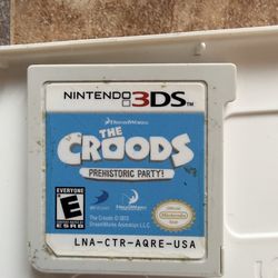 Nintendo ds game