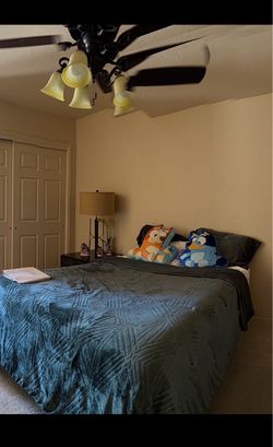 Queen mattress and bed frame