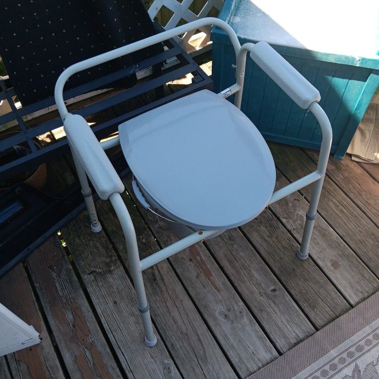 Potty Chair
