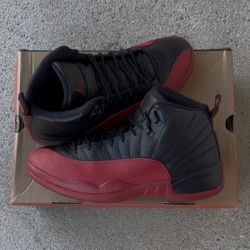 Jordan 12 Flu Game 