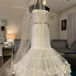 Whisper Pink Plain Veil