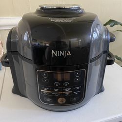 Ninja 10 In 1 Pro Pressure Cooker And Air Fryer 
