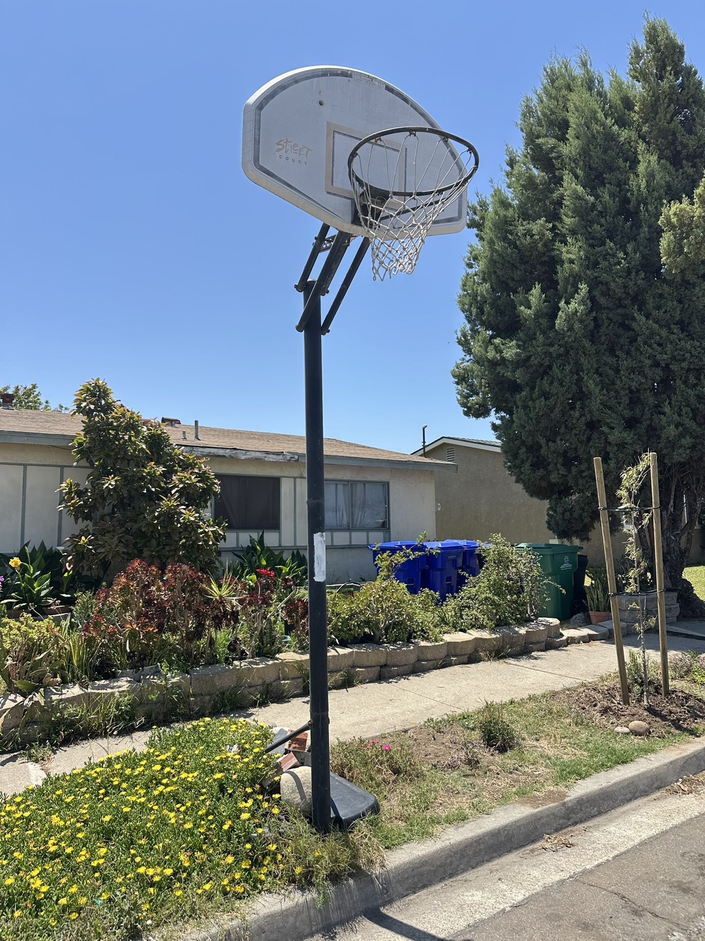 Basketball Hoop