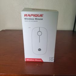 RAPIQUE Wireless Mouse Modern Slim 1600 DPI 10M Range - Captain's Tech Treasure!