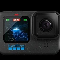 Go Pro - With Extension Tripod