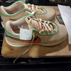 Nike LeBron  Shoes 