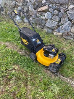 Lawnmower DeWALT self propelled