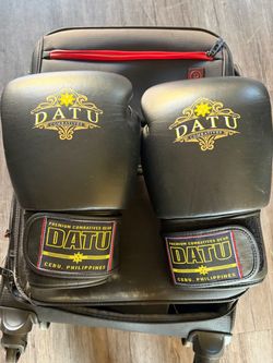 Boxing gloves and knee protectors