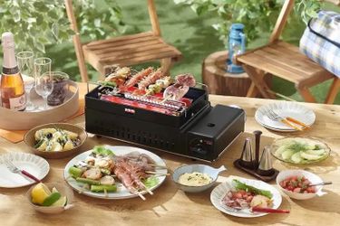 iwatani cassette butane grill