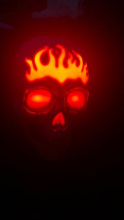 New Light-Up Skull with Flames Decoration $15 per each both $25 firm