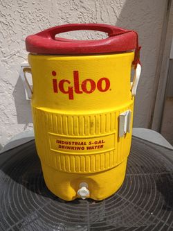 Igloo Drinking Cooler