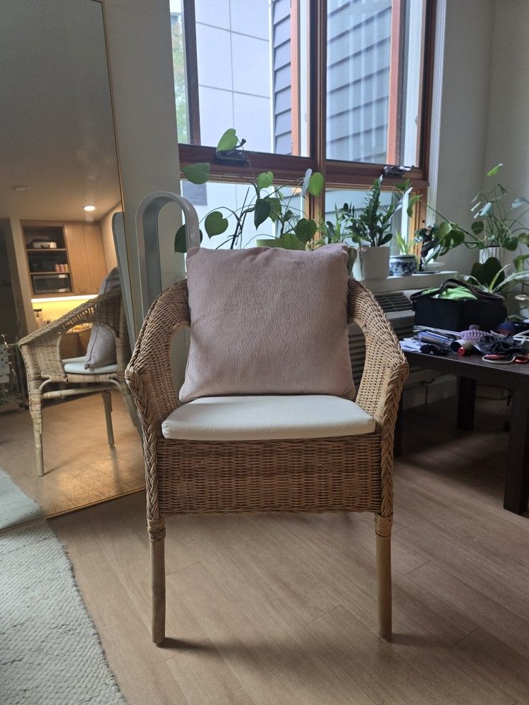 Ikea Agen Chair