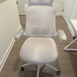 Excellent Computer Chair - Very Comfortable 