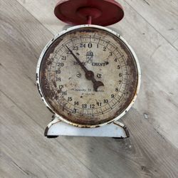 Vintage Scale 