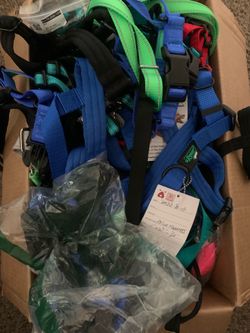Dog harness and leashes