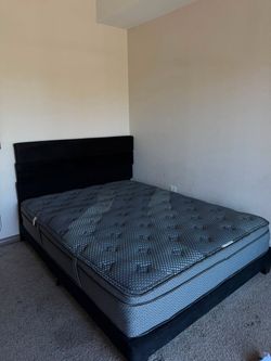 Queen Bed Frame + Headboard