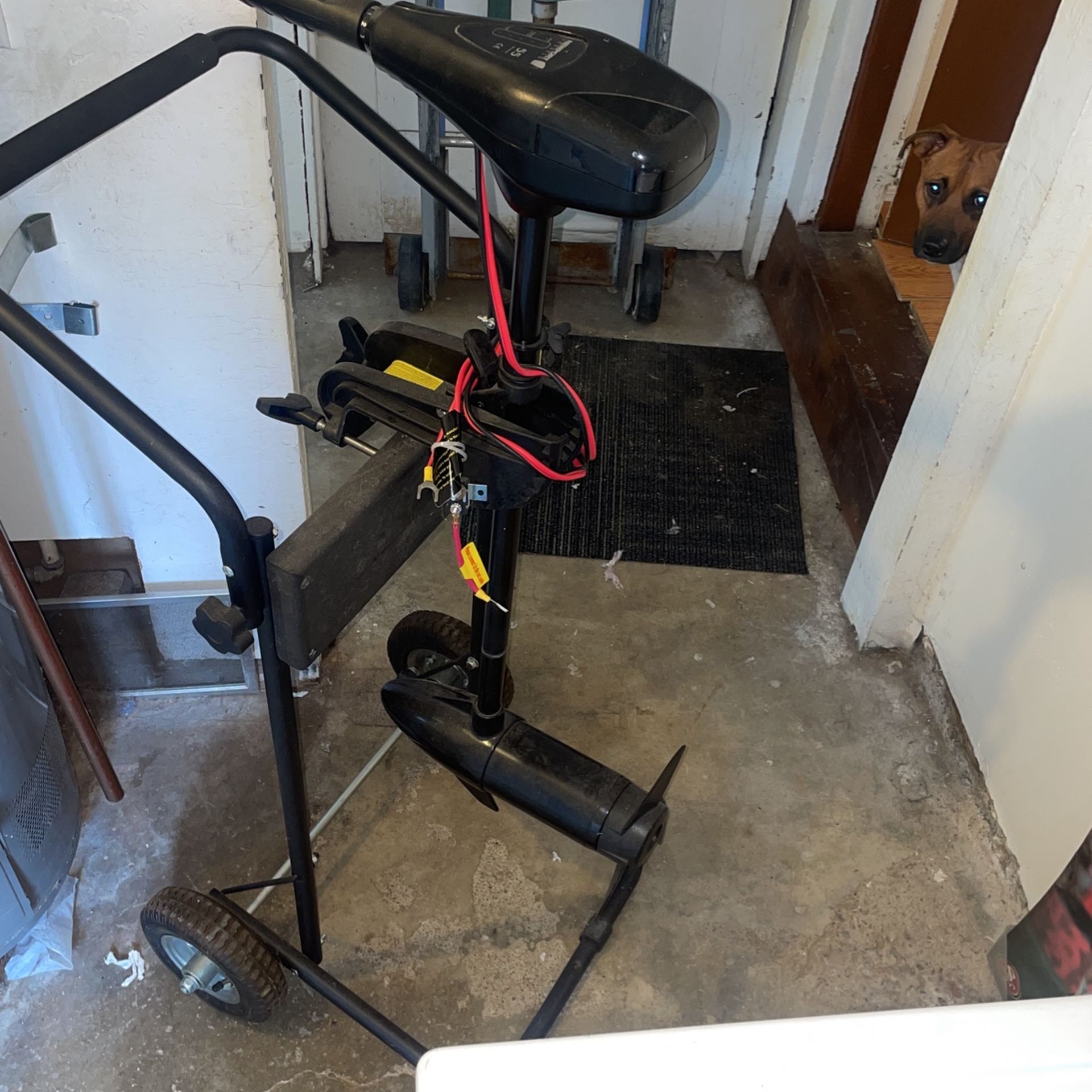 Newport Vessels 55lb trolling Motor