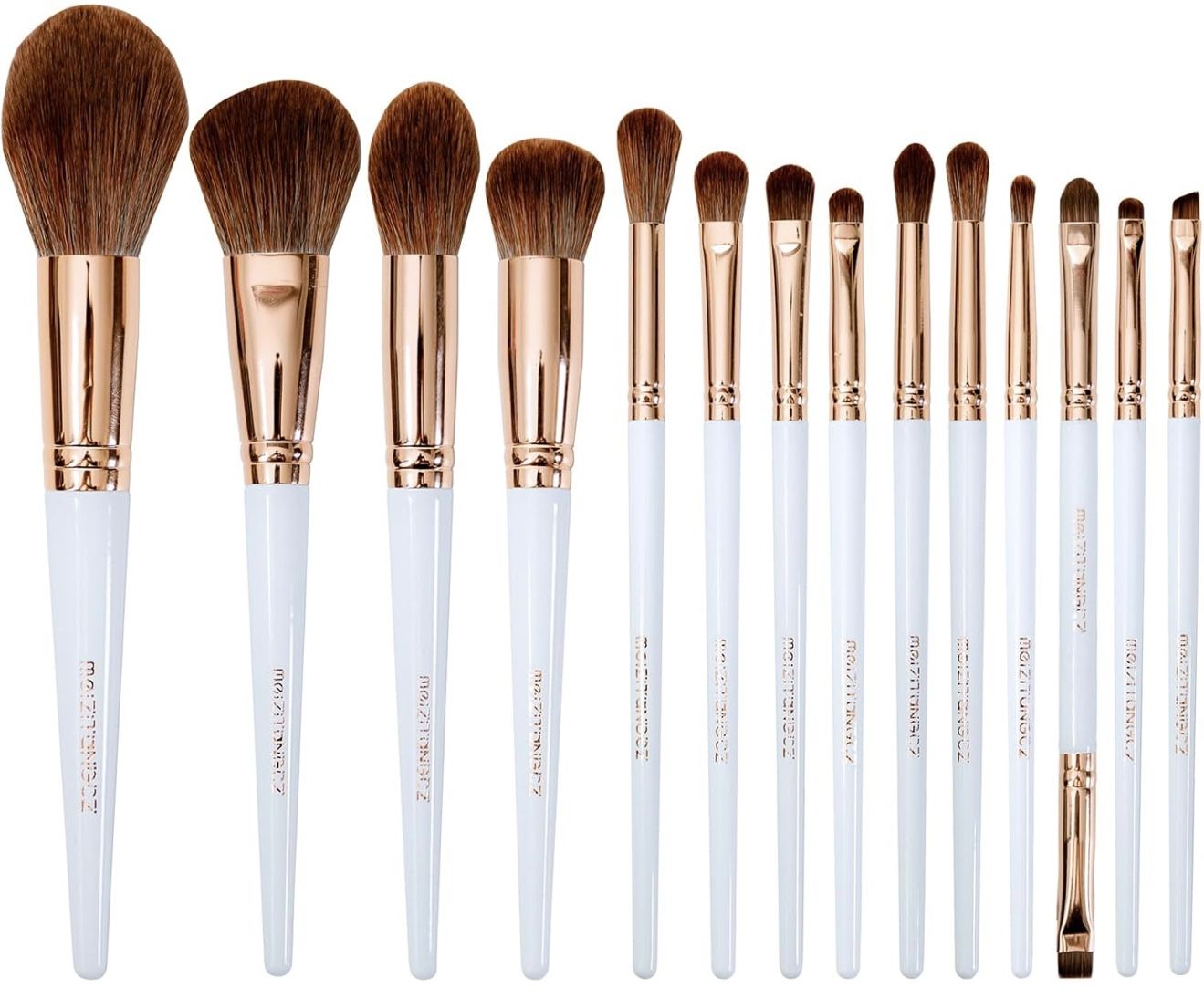 Makeup Brush Set 12 or 14 Pieces Professional Makeup Tool Set Premium Synthetic Foundation Contour Blush with Magnetic Absorption Nano Case