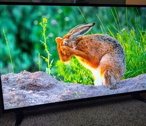 Insignia 43" 4K Smart TV (Fire TV Edition) - Like New!