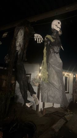 Skelton