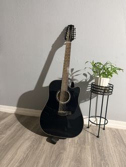 Takamine Guitar