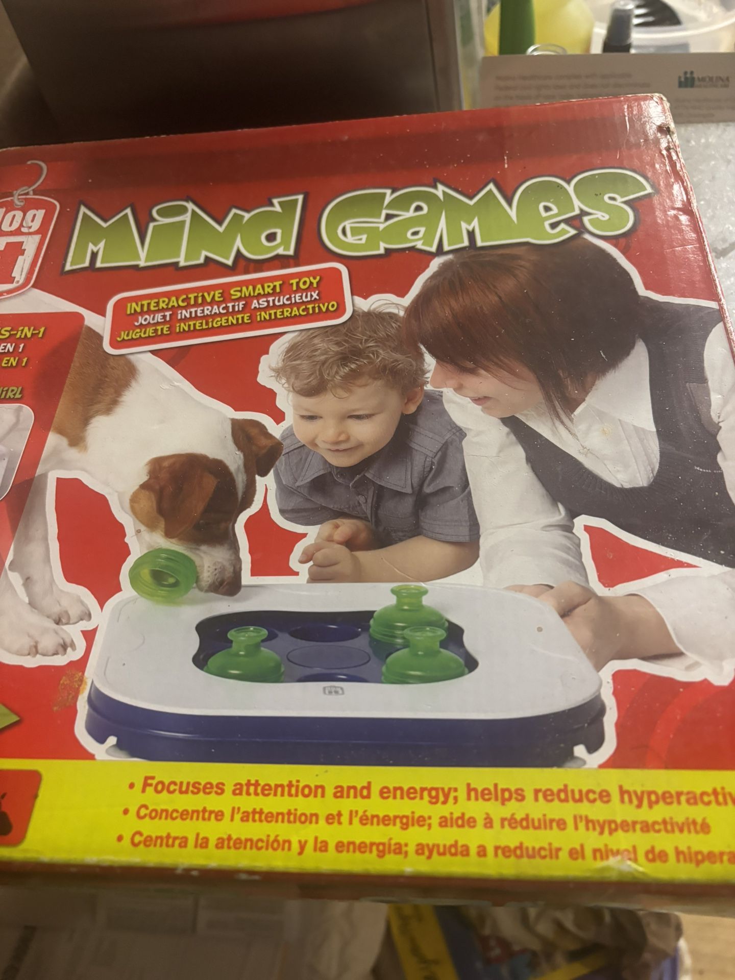 Mind Games For Dogs