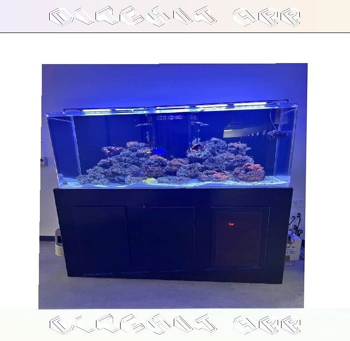 Top-Grade Aquarium Setup - Premium Quality Standard best consider