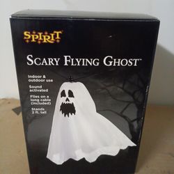 Scary Flying Ghost. Check Out My Other Posts