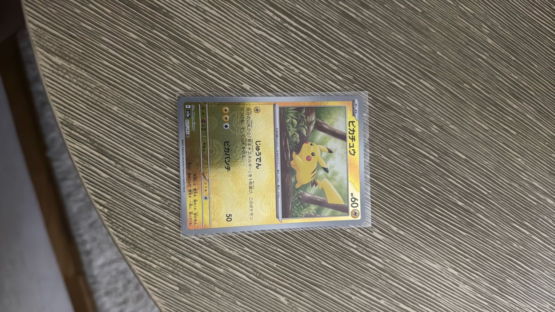 PIkachu Mater Ball Japan