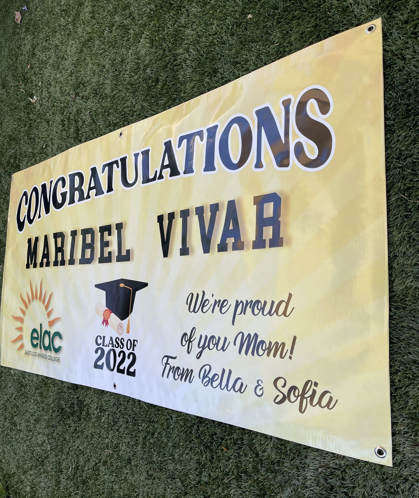 Graduation Banner, Graduate, Congrats Banner, Birthday Banner, Party Supplies 